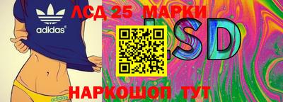 гидра Заволжье