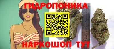 молекула духа Заводоуковск
