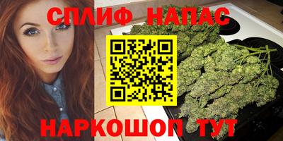 молекула духа Заводоуковск