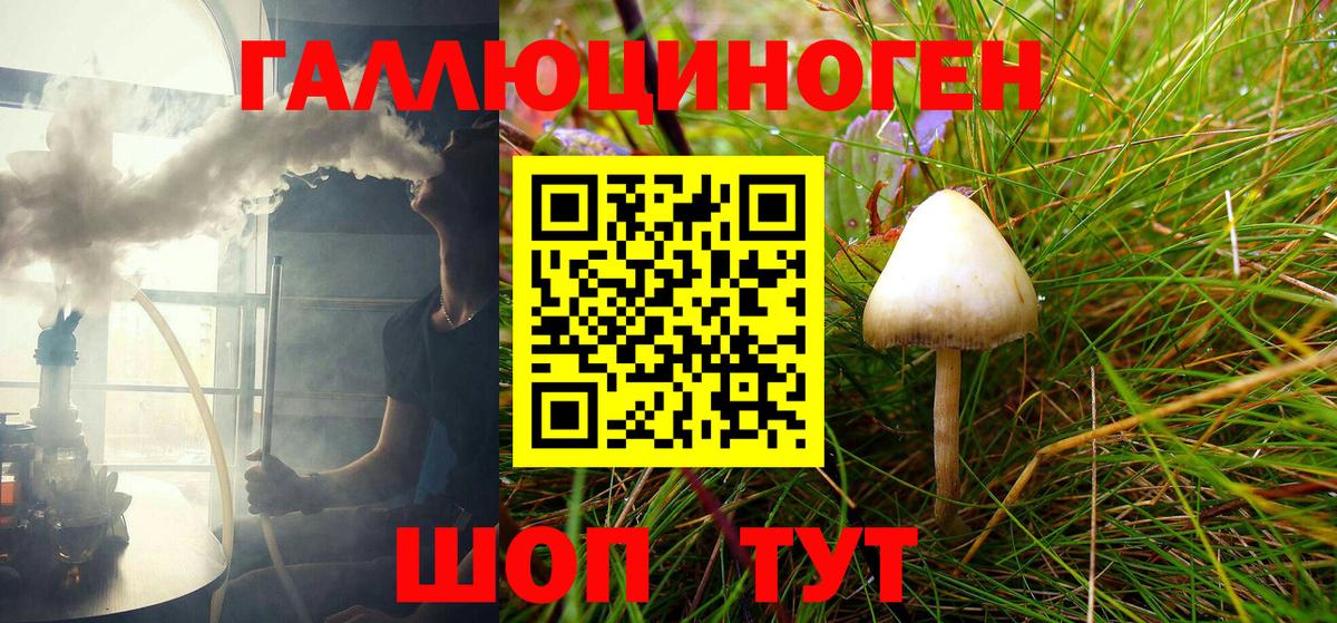 Воронеж  где продают   Вход с VPN  Псилоцибиновые грибы Psilocybine cubensis 