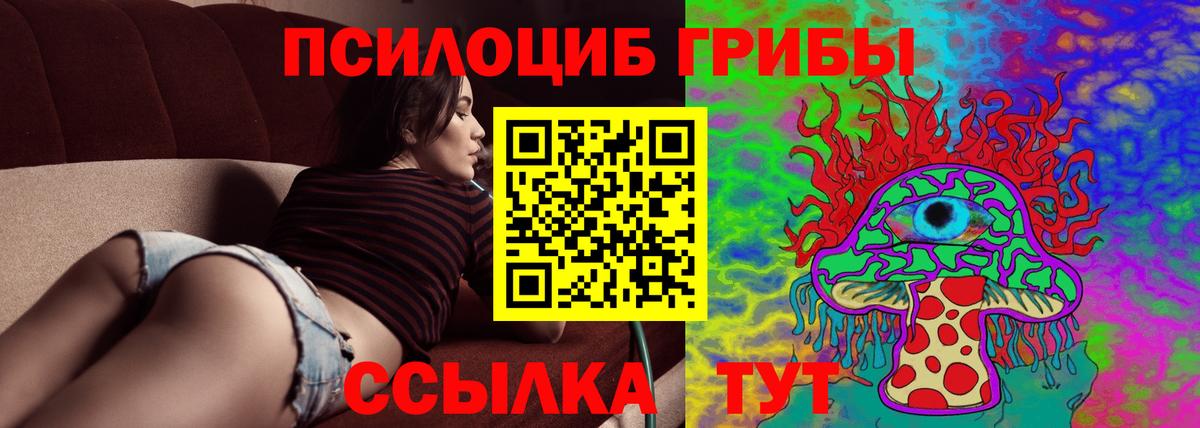 Галлюциногенные грибы мухоморы Воронеж